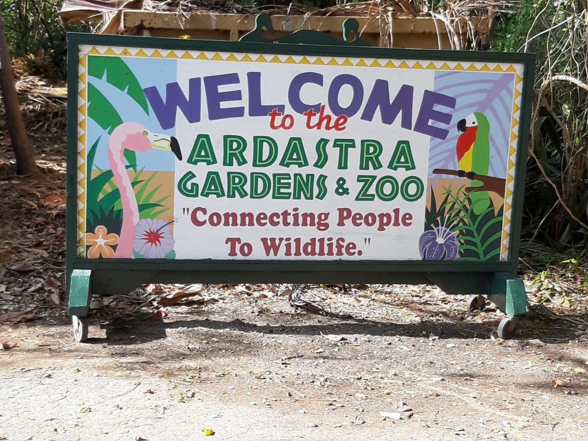 Appartamento Tropical Hideaway Nassau Esterno foto